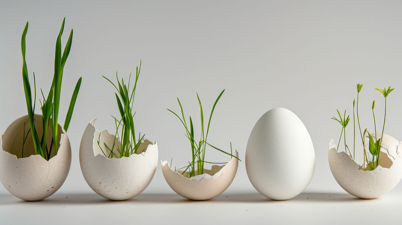 This material was created with eggshells in mind, whose composition is 97% calcium carbonate and some proteins that bind it. The eggshell degrades and the calcium carbonate returns to nature.
