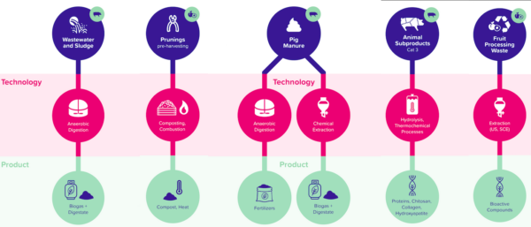 Enhancing resource efficiency by harnessing the nutrients and minerals within the biomass of the agri-food sector. Courtesy of BBTWINS.