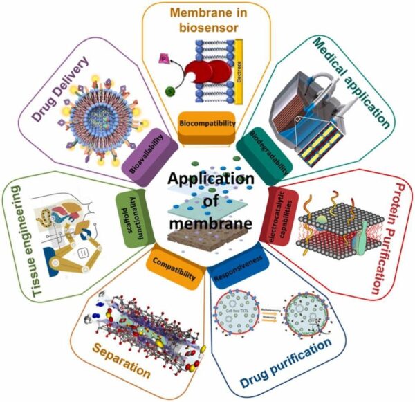 Polymeric membranes; Biosensor; Protein and drug purification; Drug delivery;Tissue engineering and separation; Medical applications. Courtesy of Exploring the potential of polymeric membranes in cutting-edge chemical and biomedical applications: A review.