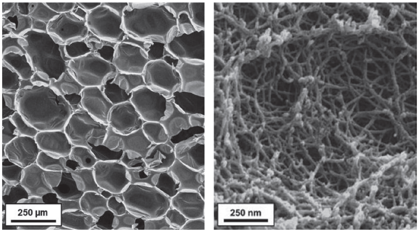 Scanning electron microscope images of conventional closed cell PU rigid foam (left) and PU aerogel (right). 