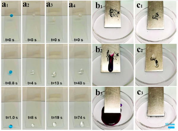 Photos show how droplets of blue-dyed water (a1), hexadecane (a2), peanut oil (a3), and pump oil (a4) slide on glass slides coated. Droplet sizes were 40 μL for water, 15 μL for hexadecane, and 40 μL each for peanut oil and pump oil. The tilt angle was approximately 25.0°. Rhodamine B stains were removed with water droplets (b1∼b3) and hexadecane droplets (c1∼c3) at a tilt angle of about 30.0°. Courtesy of High-Performance Bio-Based Polyurethane Antismudge Coatings Using Castor Oil-Based Hyperbranched Polyol as Superior Cross-Linkers.