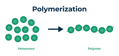 What is Polymerization? Taken from: Polymerization.