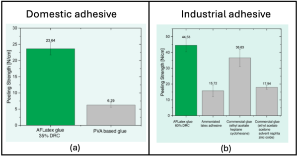 The peel strengths of AFLatex Office and Home Glue and AFLatex Industrial Adhesive were compared with commercial counterparts. (a) AFLatex Office and Home Glue showed significantly higher peel strength compared to polyvinyl acetate glue (6.29 N/cm). (b) AFLatex Industrial Adhesive outperformed ammoniated natural rubber cement, ethyl acetate, and solvent-based leather adhesives, highlighting its superior performance and solvent-free formulation. Courtesy of AFLatex technologies.