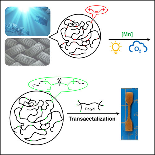 Graphical abstract from the study, showing light, oxygen, and manganese being used to break down polymers into acetal and producing new polymer products. 