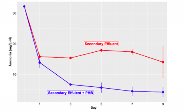 The graph illustrates the change in nitrogen concentration (measured as ammonia, mg/L-N) over 9 days in secondary effluent samples, both with and without the addition of PHA. Adding PHA to secondary effluent significantly enhances the reduction of ammonia concentrations compared to the untreated sample. Courtesy of Mango Materials.