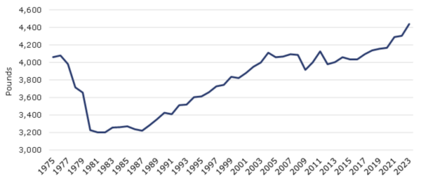 Average vehicle weight. Courtesy of Chemistry and Automobiles Driving the Future Report.