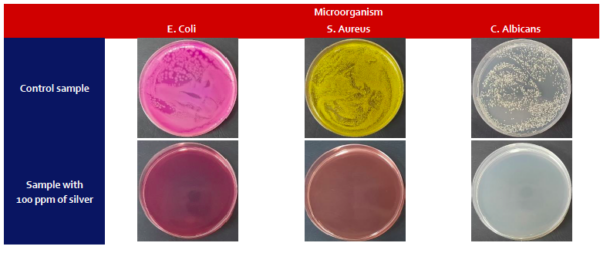 The image displays the additives' microbiological activity against E. coli (ATCC 8739) and S. aureus (ATCC 6538), representing gram-negative and gram-positive bacteria, respectively. It also shows the activity against C. albicans (ATCC 10231), a type of fungus. Courtesy of Smart Nanotechnologies.