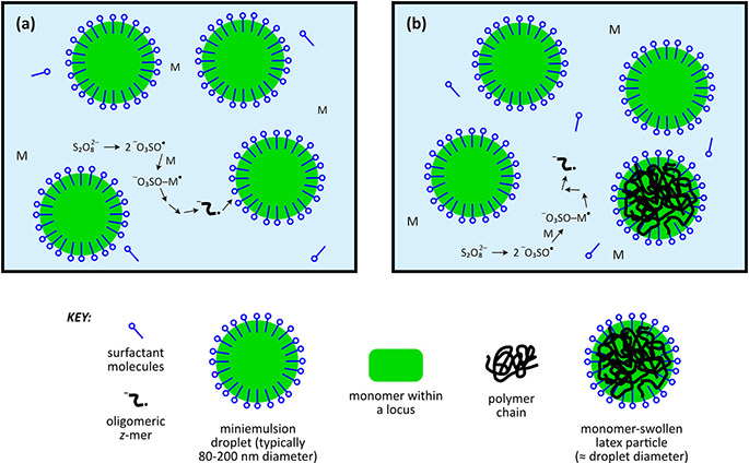 Diagram of the emulsion polymerization process, showing polymer creation within micelles. Courtesy of Biomacromolecules.