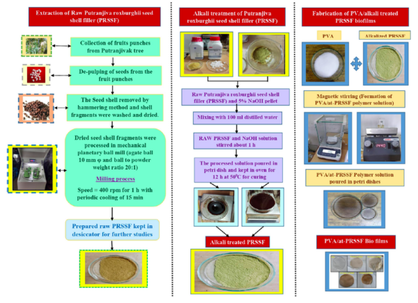 Preparation, alkali treatment of PRSSF, and fabrication of PVA/at-PRSSF biofilms. Courtesy of Effect of alkali-treated Putranjiva roxburghii seed shell filler on physico-chemical, thermal, mechanical, and barrier properties of polyvinyl alcohol-based biofilms.