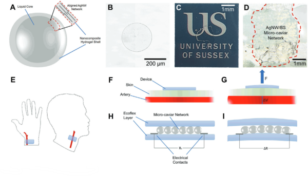 E-skin based on micro-sized, electronic food caviar networks. Courtesy of Transparent, Bioelectronic, Natural Polymer AgNW Nanocomposites Inspired by Caviar.