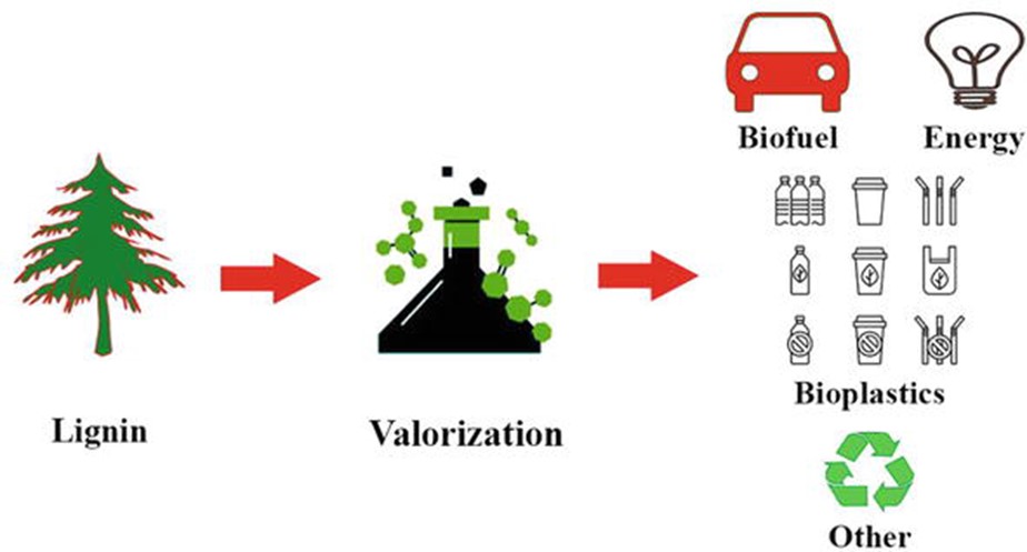 Lignin valorization schematic.