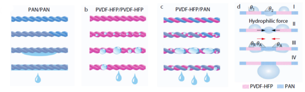 Fog droplets deposit and aggregate at the hydrophobic PVDF-HFP yarn sites. Later, water droplets will be absorbed toward the hydrophilic PAN yarn region under the hydrophilic force. Courtesy of Courtesy of Bioinspired Double-stranded Yarn with Alternating Hydrophobic/Hydrophilic Patterns for High-efficiency Fog Collection.