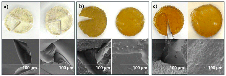 The image displays the thermally repairable properties of polysiloxane samples with different weight percentages of sulfur (X), along with their corresponding SEM images. The images show the samples before (left) and after (right) the healing process for X-poly(siloxane-r-S), where X represents (a) 0, (b) 5, and (c) 10. Courtesy of Converting Commercial-Grade Silicone into a Vitrimer using Elemental Sulfur.