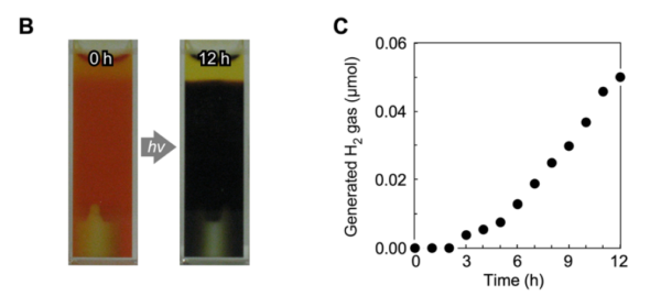 H2-generation inthe gel system. Courtesy of Bioinspired hydrogels: polymeric designs towards artificial photosynthesis