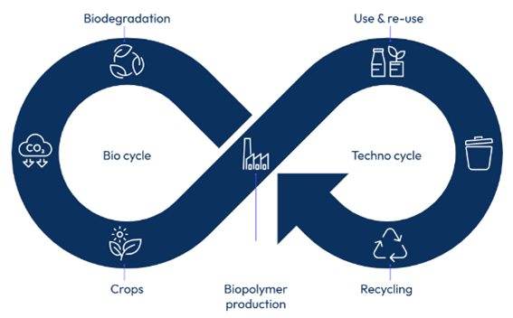 Transforming CO2 into eco-friendly biodegradable polymers. Taken from Emirates Biotech.