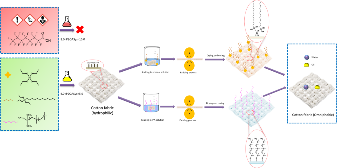 Liquid repellent fabric coatings. Courtesy of A comparative study of alkyl chain silanes and poly dimethyl siloxaneliquid-like brushes as PFAS-free liquid-repellent fabric coatings,