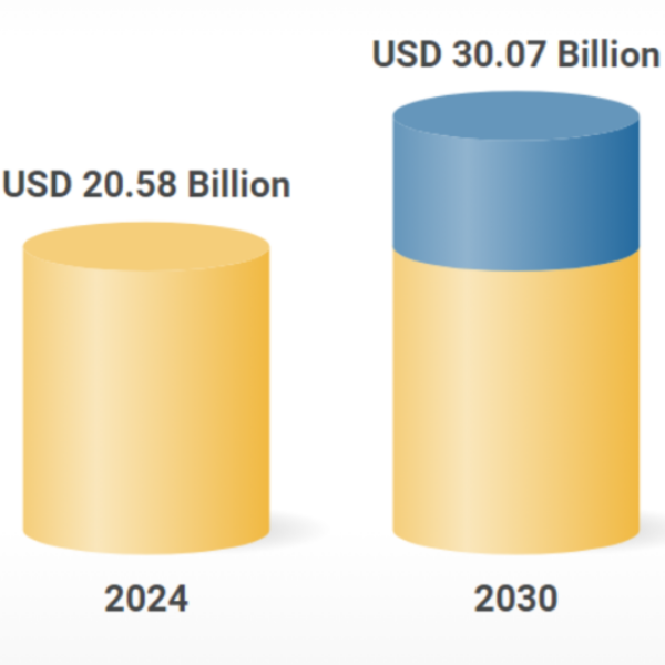 Carbon Fiber Composite Market Comparison 2024 Vs 2030 Forecast. Courtesy of Research and Markets.