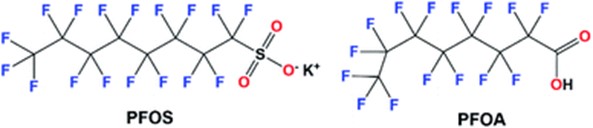 Chemical structures of perfluorooctanoic acid (PFOA) and perfluoroctane sulfonate (PFOS)