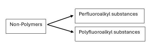 Anatomy of PFAS.