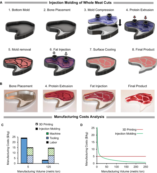 Design and economic analysis of injection molding in whole meat cut manufacturing. Courtesy of Metamaterial-based injection molding for the cost-effective production of whole cuts.