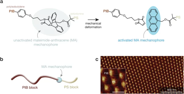 The image illustrates the chemical and structural characterization of the polymer with mechanophores known as MA-BCP material. (a) Mechanophore activation upon MA bond rupture due to mechanical deformation. (b) Schematic of the diblock copolymer with MA mechanophore between PIB and PS blocks. (c) AFM phase image showing PS spherical domains within the PIB matrix. Inset scale bar: 100 nm. Courtesy of Mechanochemically responsive polymer enables shockwave visualization.