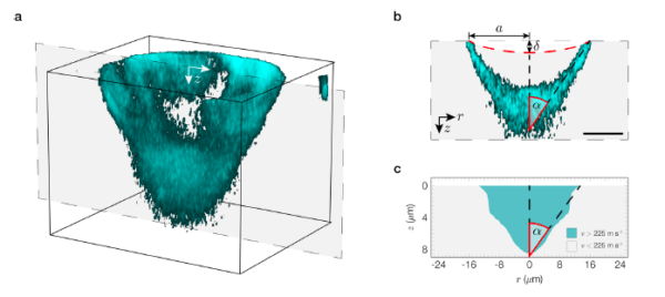 The image visualizes shock deformation in MA-BCP films. (a) A 3D projection shows the mechanophore-activated volume beneath the impact site at vi = 414 m/s. (b) A 2D slice reveals a Mach cone-like shape. The dashed red line marks the deformed film surface (measured by AFM), with a 5 μm scale bar. Courtesy of Mechanochemically responsive polymer enables shockwave visualization.