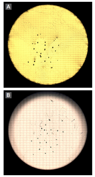 (A) Visible survey of test sample filtered onto gold-coated polycarbonatefilter using reflectance. (B) Visible survey of test sample filtered onto Alumina oxide membrane filter in transmittance. Courtesy of Perkin Elmer.