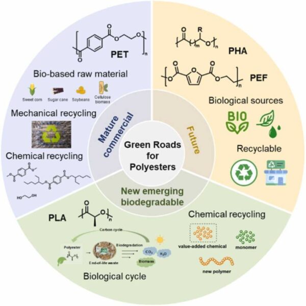 There are many avenues towards a greener future for polyesters, including emerging materials and future research paths. Courtesy of Recycled polymer: Green roads for polyester plastics.