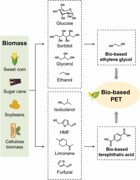 Biomass offers an alternative to petroleum for the production of PET. Courtesy of Recycled polymer: Green roads for polyester plastics.